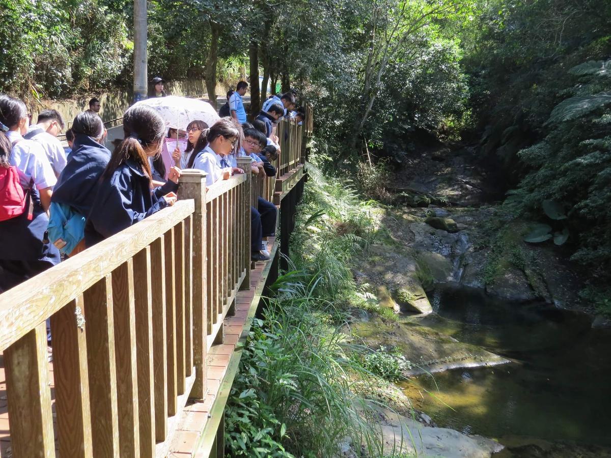 大湖郷 The House Behind Stream Bed & Breakfast エクステリア 写真